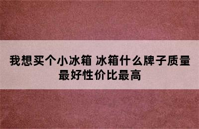 我想买个小冰箱 冰箱什么牌子质量最好性价比最高